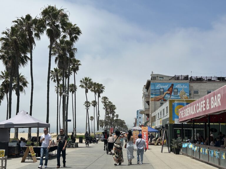 People walking along the Ocean Front Walk in Venice Beach with palm trees, shops, and restaurants on a cloudy day in Los Angeles.